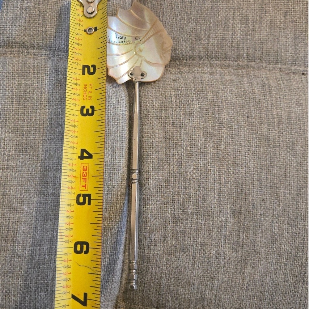 VTG Mother of Pearl Salt Spoon Jamestown RI Indian Chief 7" Victorian 1890s 19th - Picture 2 of 9